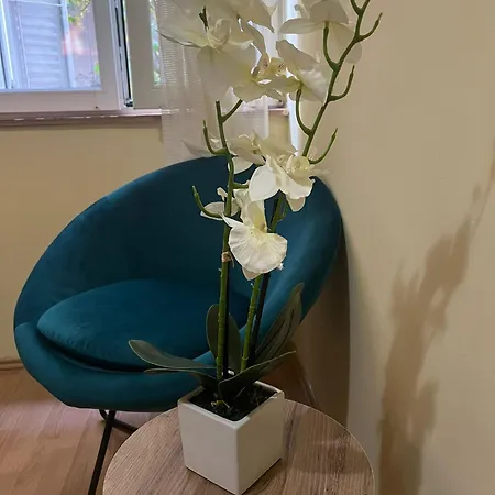 Apartment Triplea Sr